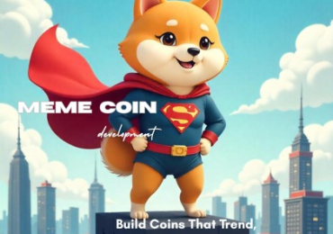 Customizable Meme Coin Development Services to Fit Your Vision