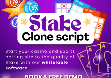 Stake Clone Script: Customizable, Secure, and Ready for Quick Launch!