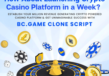 8000+ Games Ready: BC Game Clone Script for Crypto Casinopreneurs