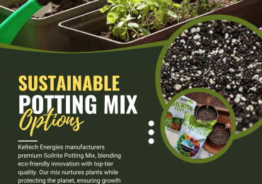 Enhance Your Indoor Garden with Soilrite Potting Mix – Perfect for Plants