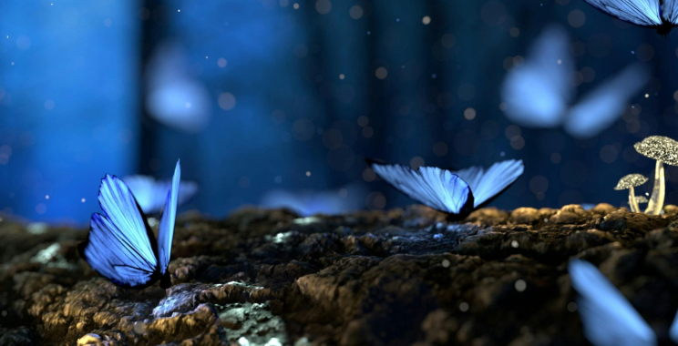 Smart ways to choose affordable Bluetooth hearing aids