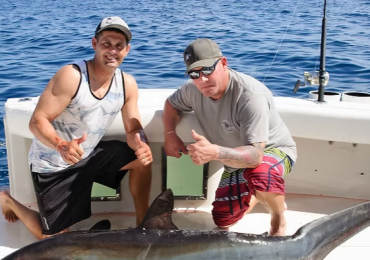 Looking to Book Puerto Vallarta Tours