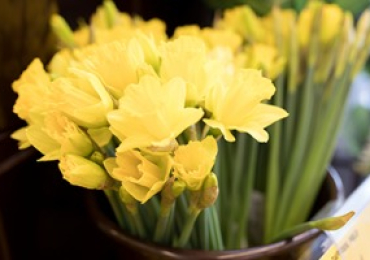 Seeking the Best fresh solutions for produce | Chemstarcorp.com