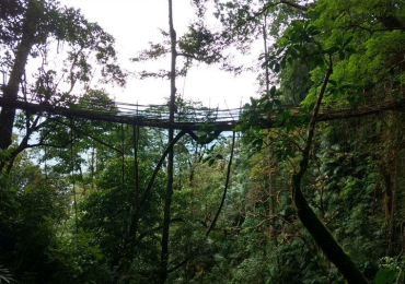 Meghalaya Walking Tour Package Through Forests and Waterfalls