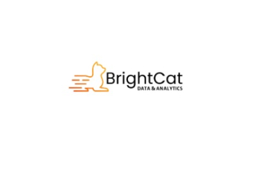 BrightCat Data Analytics Inc