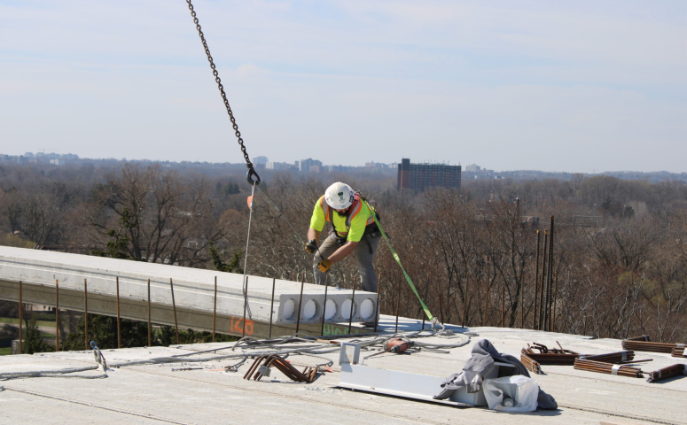 Media