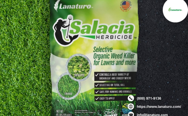 Media