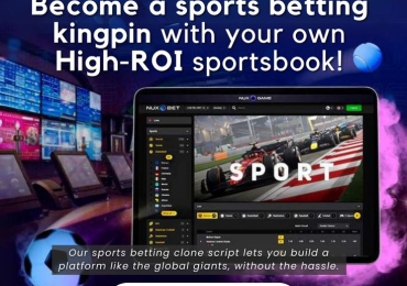 Affordable Crypto Casino Game Clone Software – Get Started in Days!