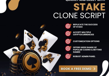 Revolutionize Your Online Gaming Business with Stake Clone Script – Low-Cost, Quick Setup