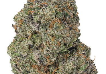 Buy Weed Online | Diamondreleafrx.com