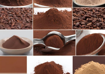Leading Indonesian Cocoa Powder Exporter with Global Reach